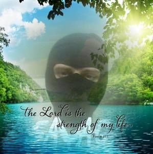 Meet your Posher, Austin